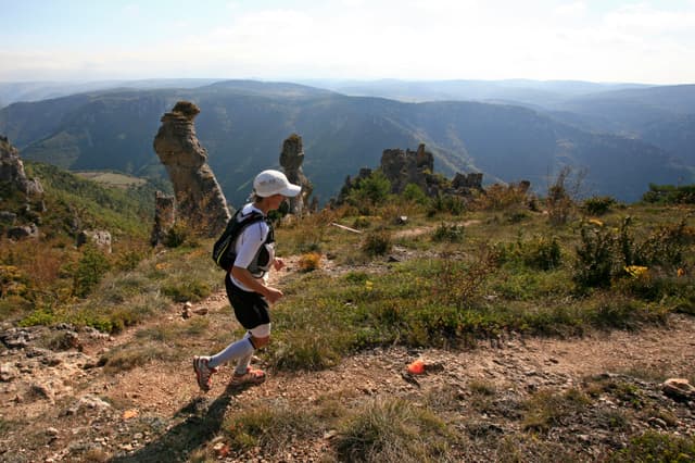 Festival des Templiers 2010
