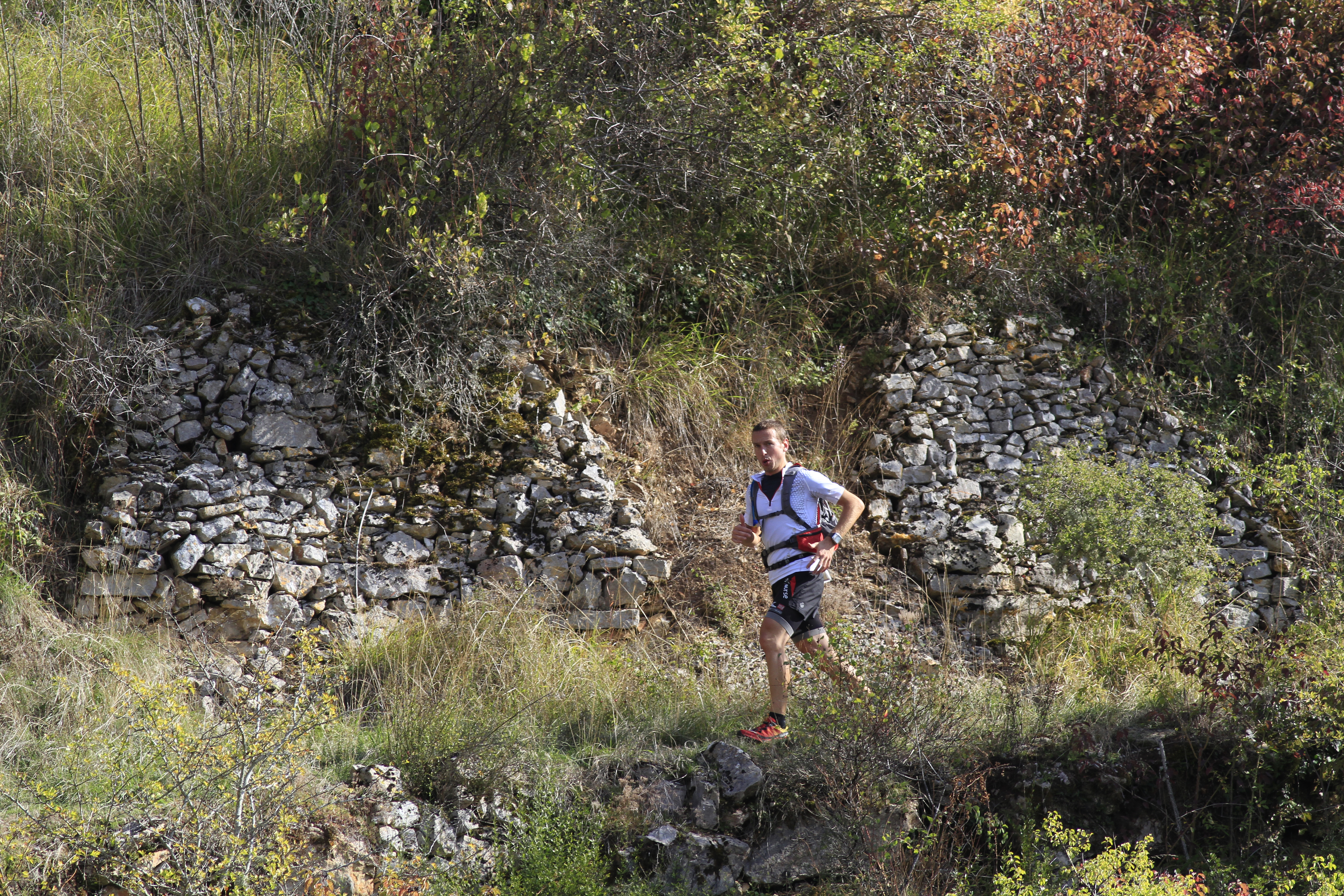 Festival des Templiers 2010