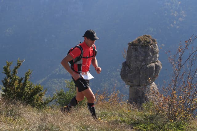 Festival des Templiers 2010