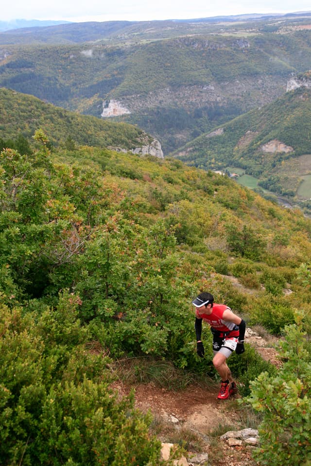 Festival des Templiers 2010