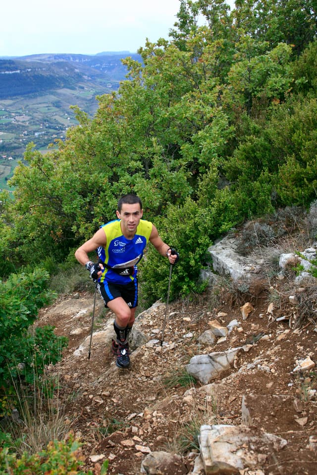 Festival des Templiers 2010