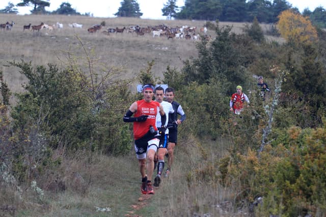 Festival des Templiers 2010
