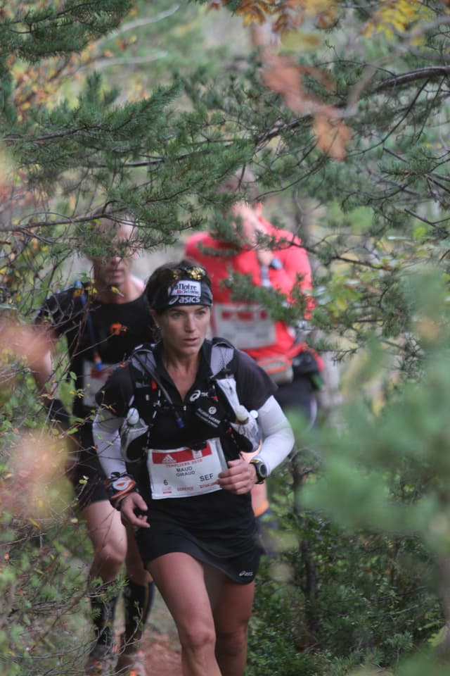 Festival des Templiers 2010