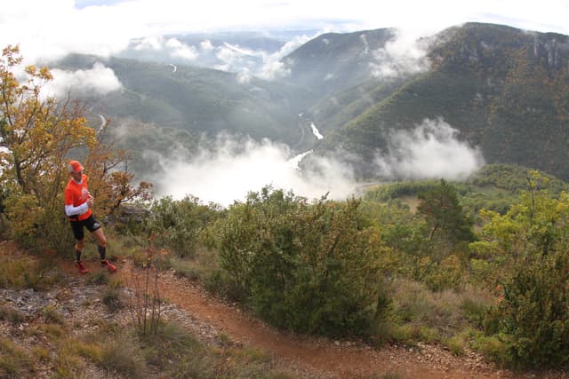 Festival des Templiers 2010