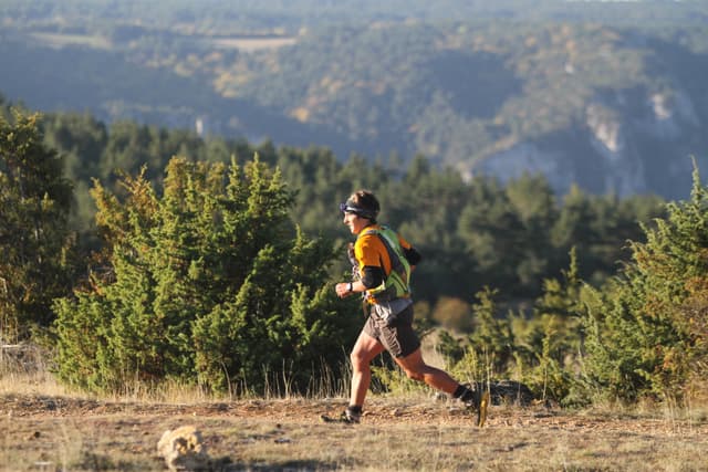 Festival des Templiers 2011