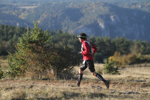 Festival des Templiers 2011