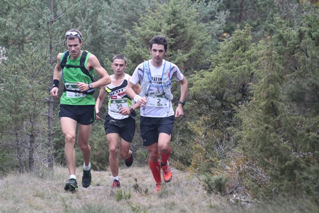 Festival des Templiers 2011