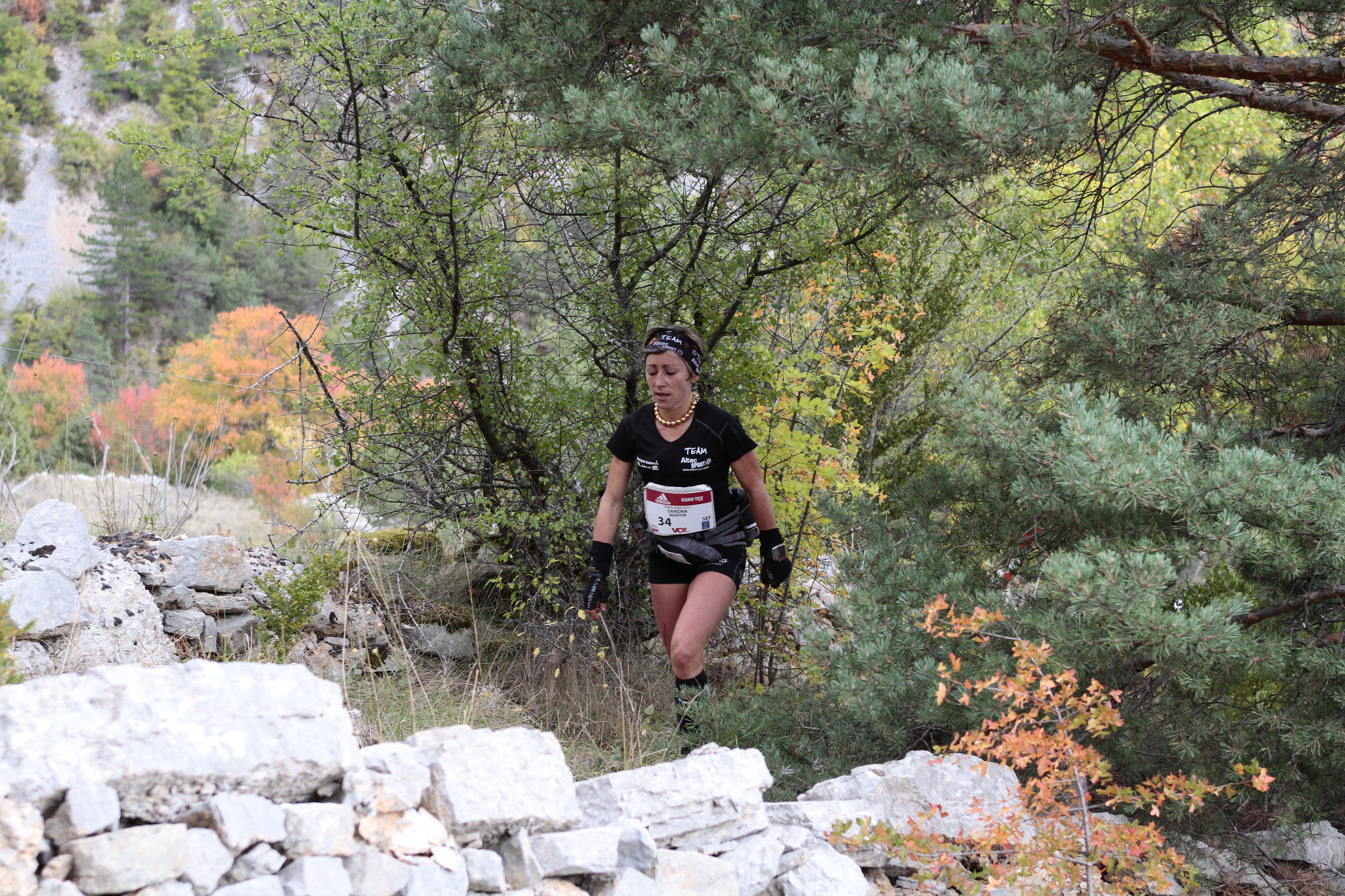 Festival des Templiers 2011