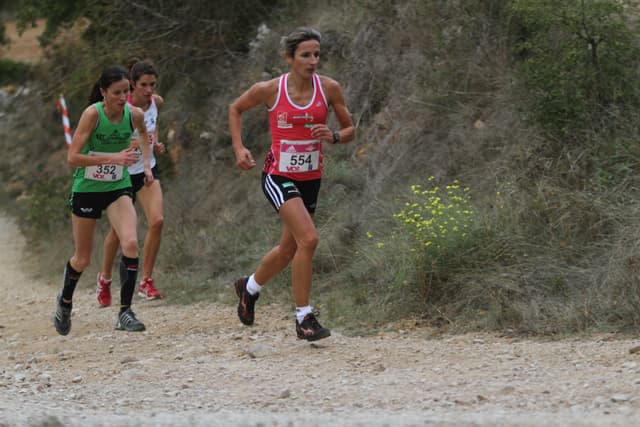Festival des Templiers 2011