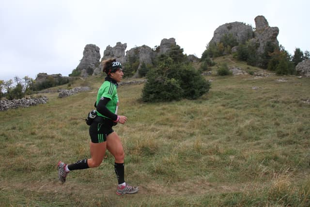 Festival des Templiers 2011