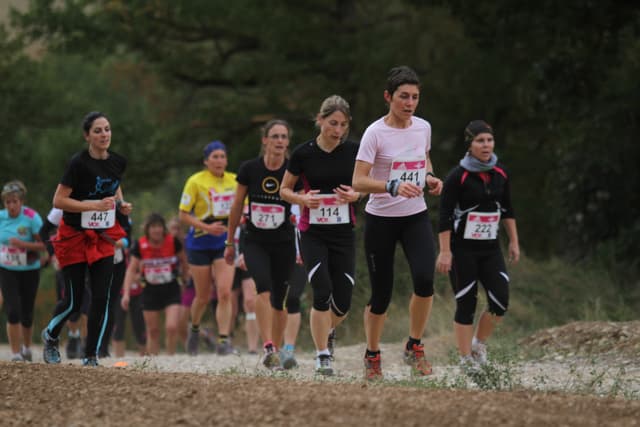 Festival des Templiers 2011