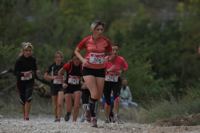 Festival des Templiers 2011