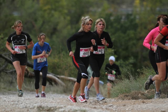 Festival des Templiers 2011