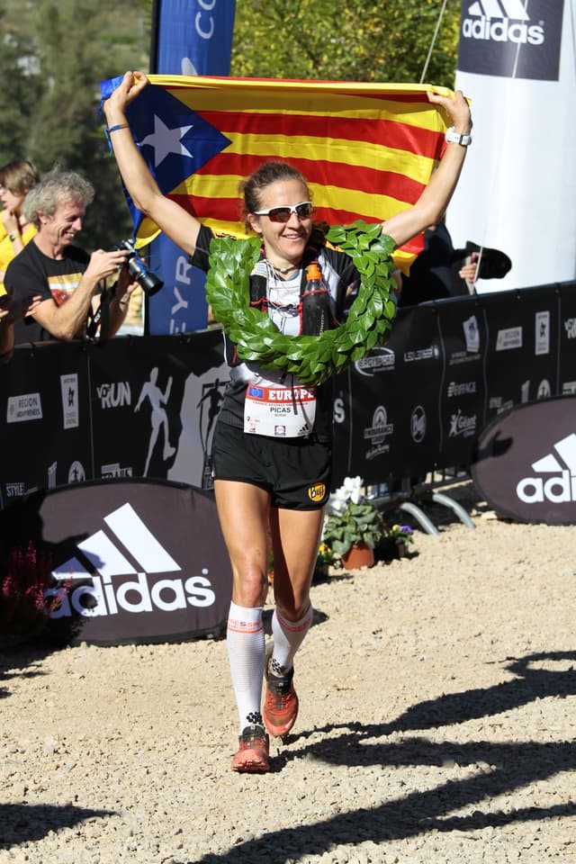 Festival des Templiers 2014