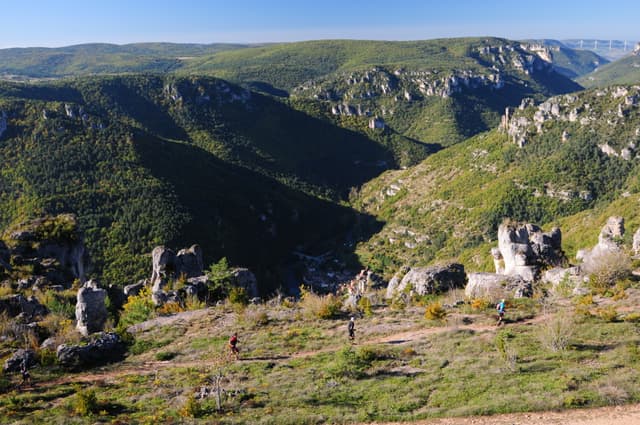 Festival des Templiers 2014