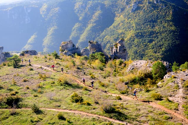 Festival des Templiers 2014