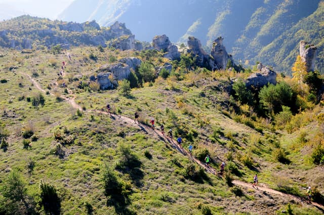Festival des Templiers 2014