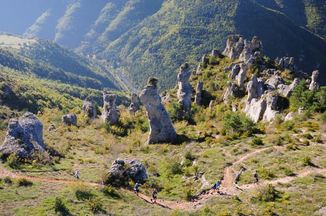 Festival des Templiers 2014
