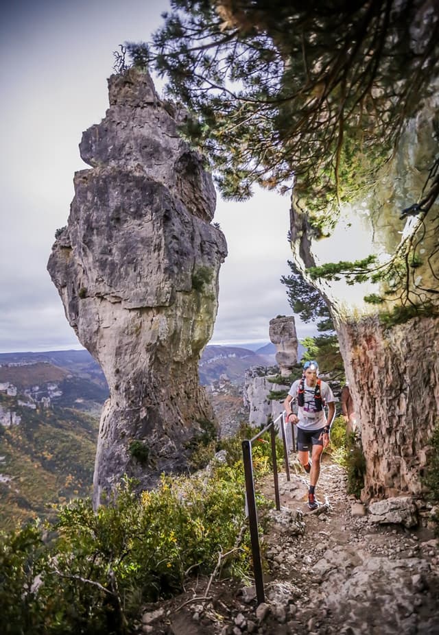 Festival des Templiers 2015