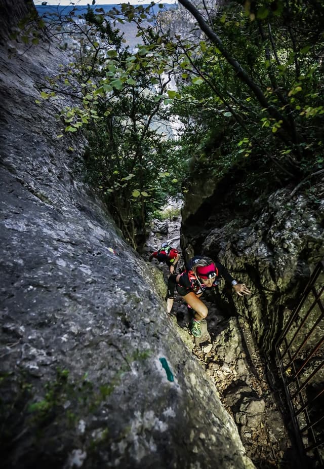 Festival des Templiers 2015