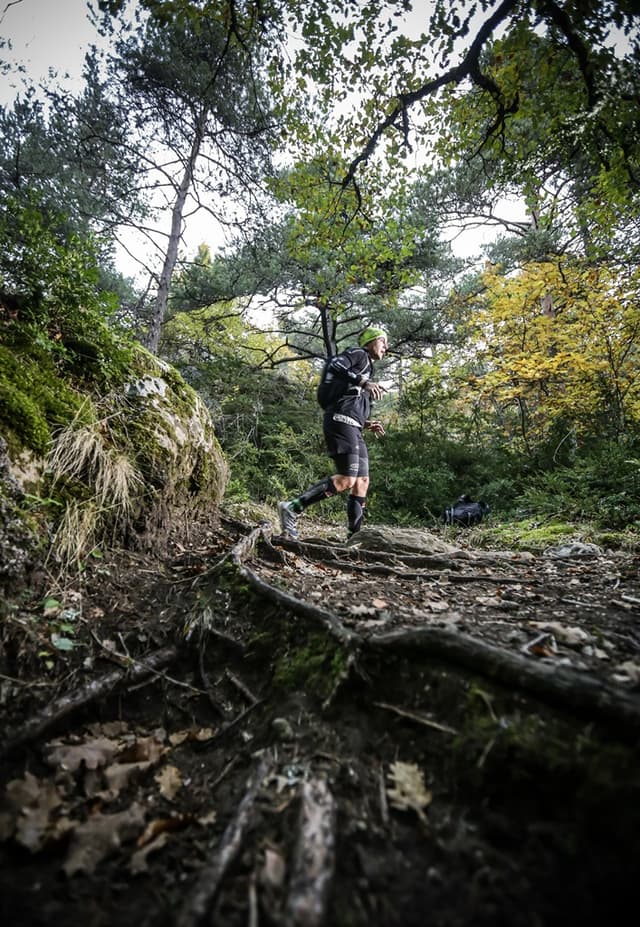 Festival des Templiers 2015