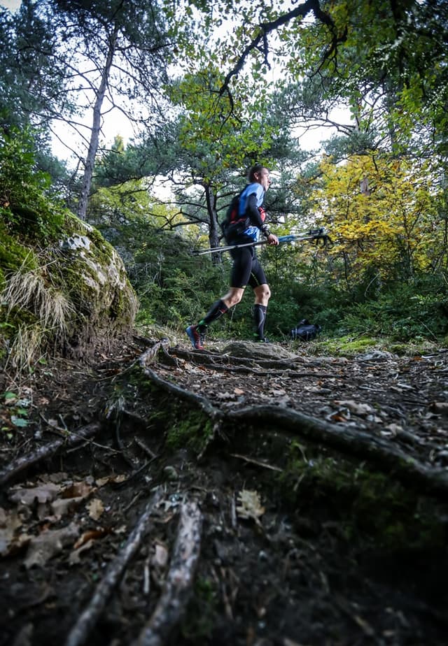 Festival des Templiers 2015