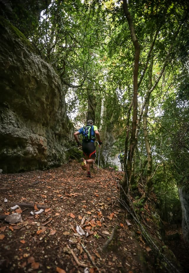 Festival des Templiers 2015