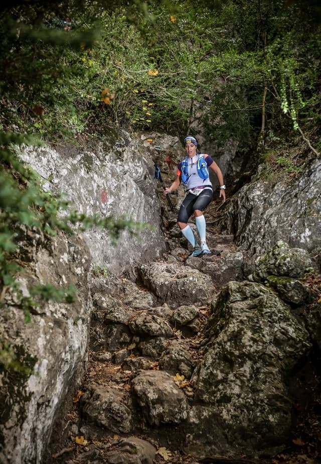 Festival des Templiers 2015