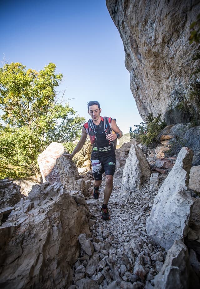 Festival des Templiers 2015