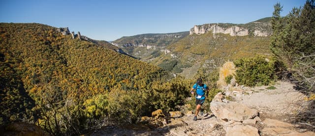 Festival des Templiers 2015