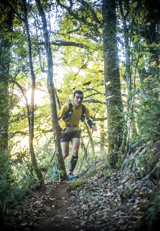 Festival des Templiers 2015