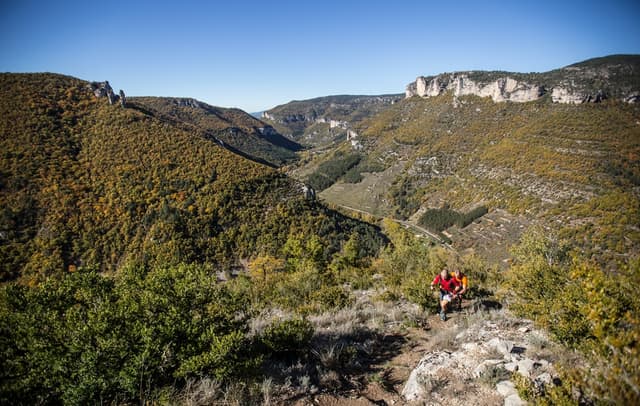 Festival des Templiers 2015