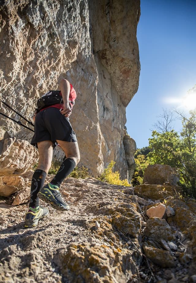 Festival des Templiers 2015