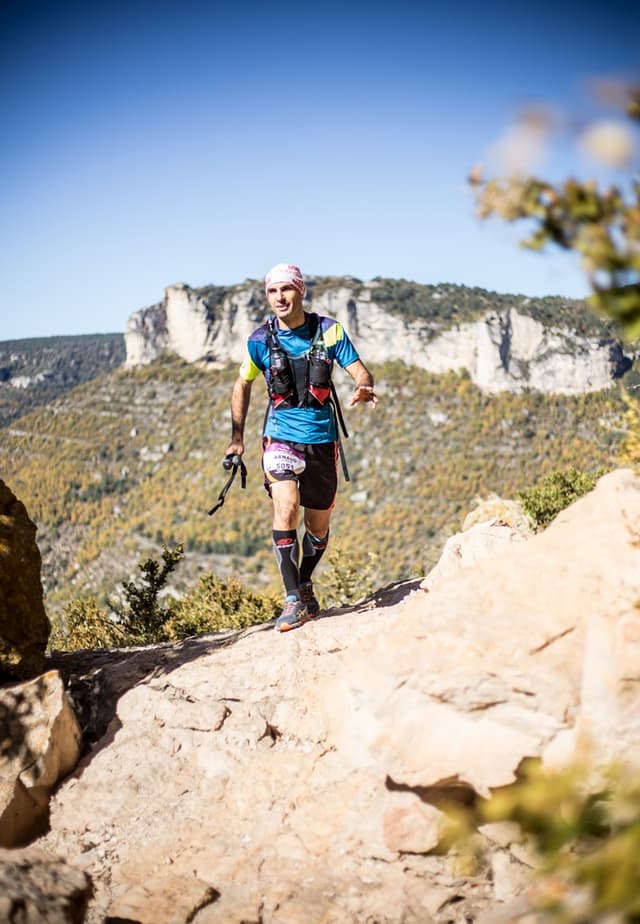 Festival des Templiers 2015