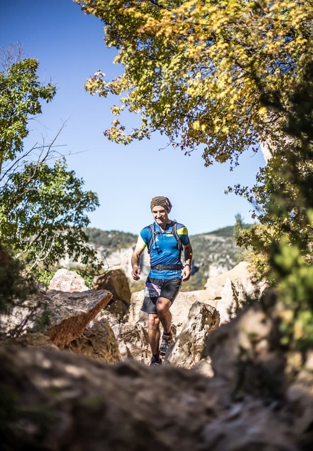 Festival des Templiers 2015
