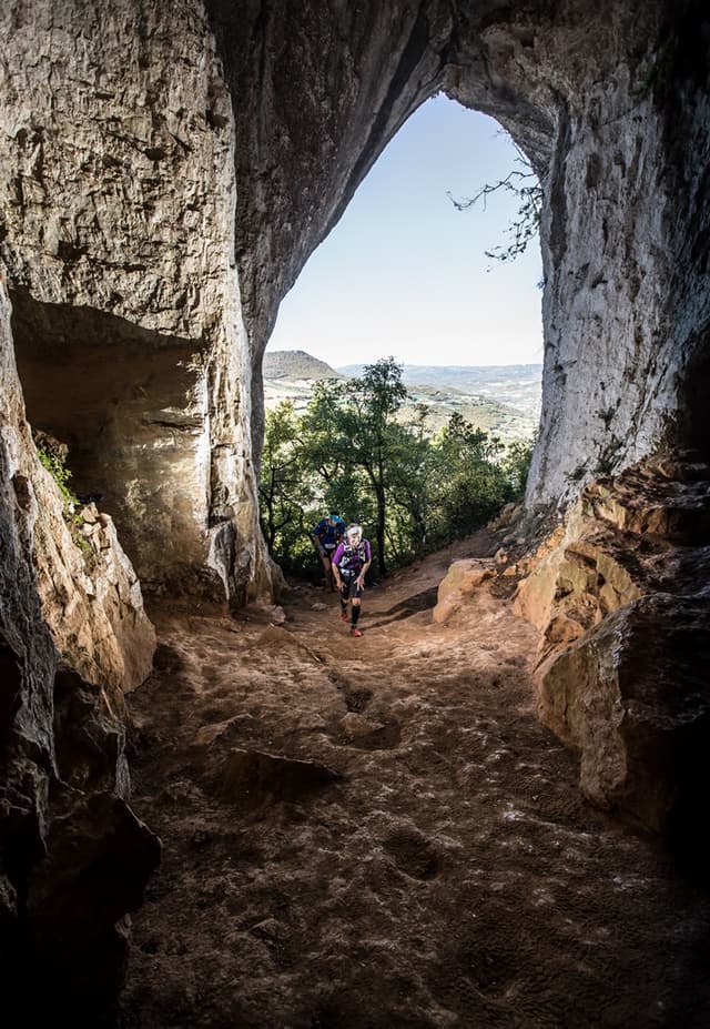Festival des Templiers 2015