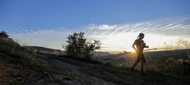 Festival des Templiers 2015