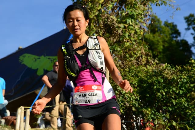 Festival des Templiers 2015