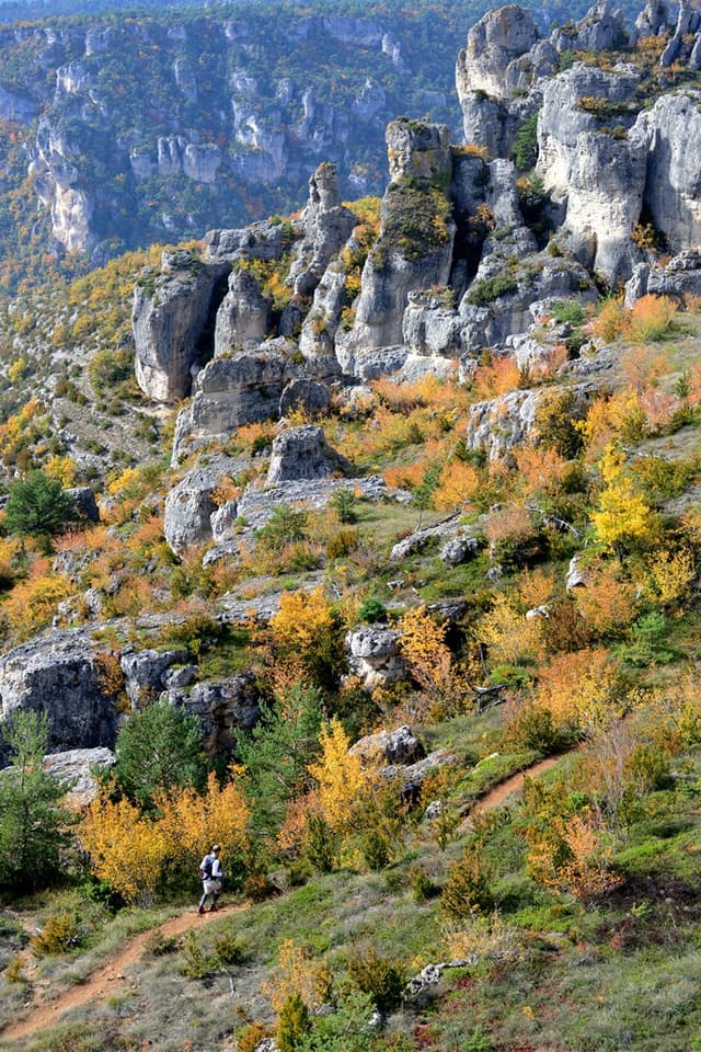 Festival des Templiers 2015