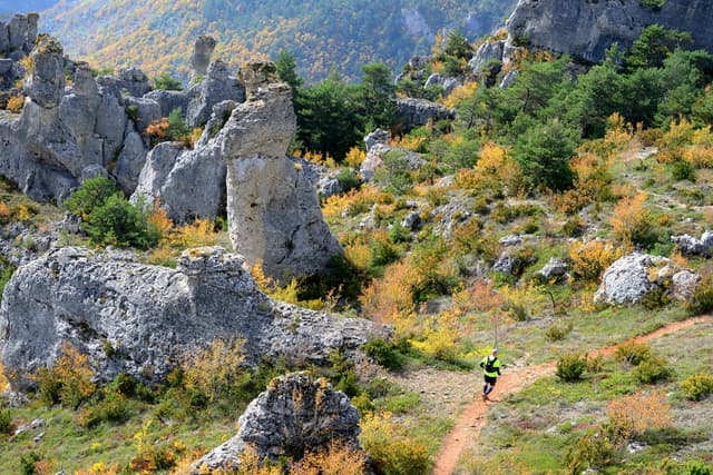 Festival des Templiers 2015