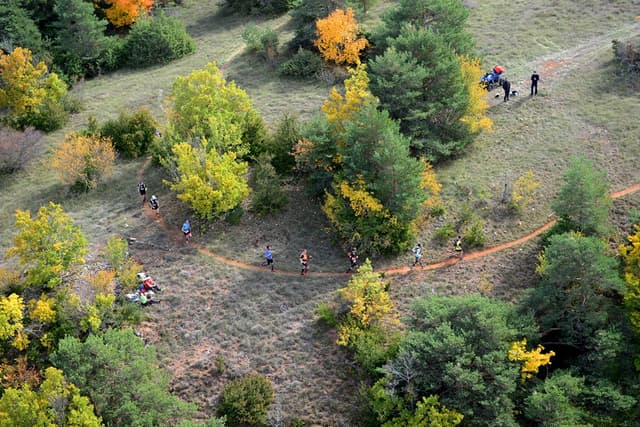Festival des Templiers 2015
