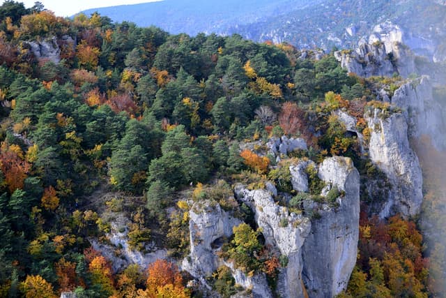 Festival des Templiers 2015