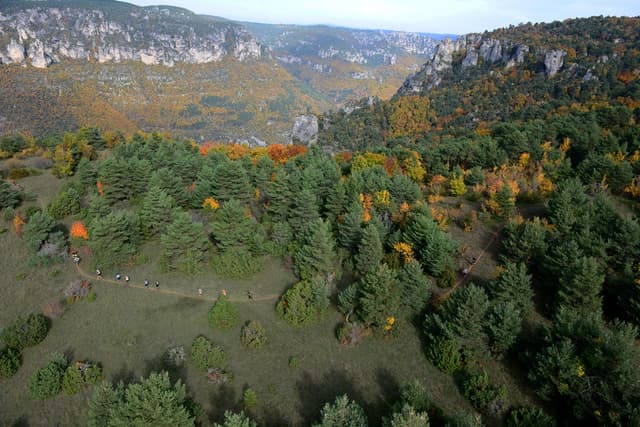 Festival des Templiers 2015