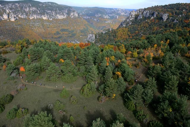 Festival des Templiers 2015