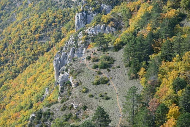 Festival des Templiers 2015