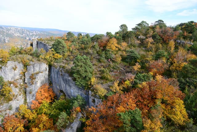 Festival des Templiers 2015