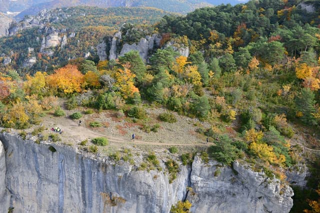 Festival des Templiers 2015