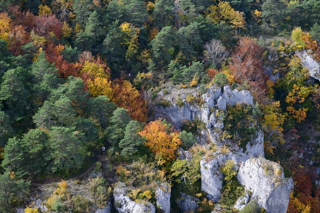 Festival des Templiers 2015