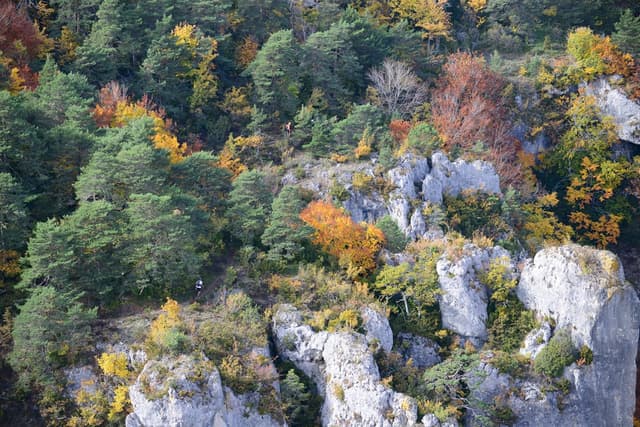 Festival des Templiers 2015