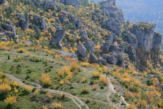 Festival des Templiers 2015